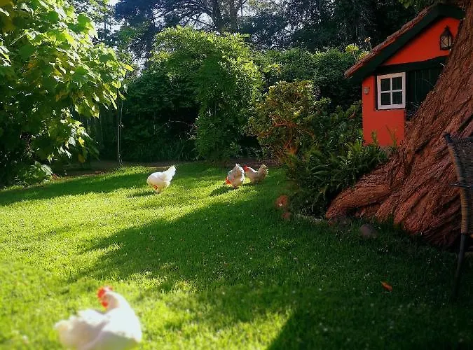 Дом отдыха Jardines De Hortensia - Vacation Tenerife