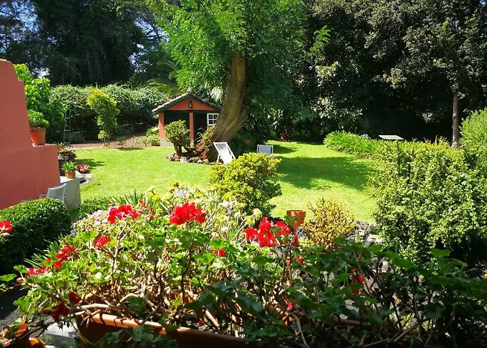 Jardines De Hortensia - Vacation Tenerife