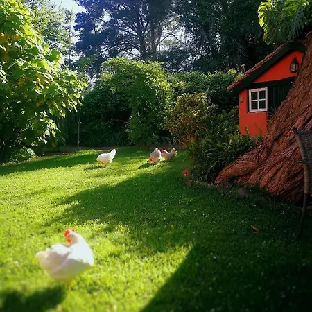 Σπίτι διακοπών Jardines De Hortensia - Vacation Tenerife