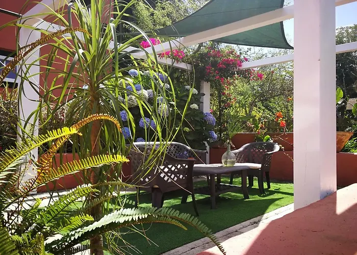 Jardines De Hortensia - Vacation Tenerife *